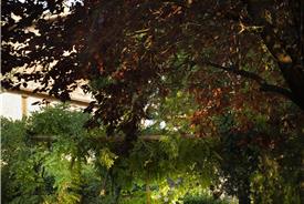 castello-monticelli-28