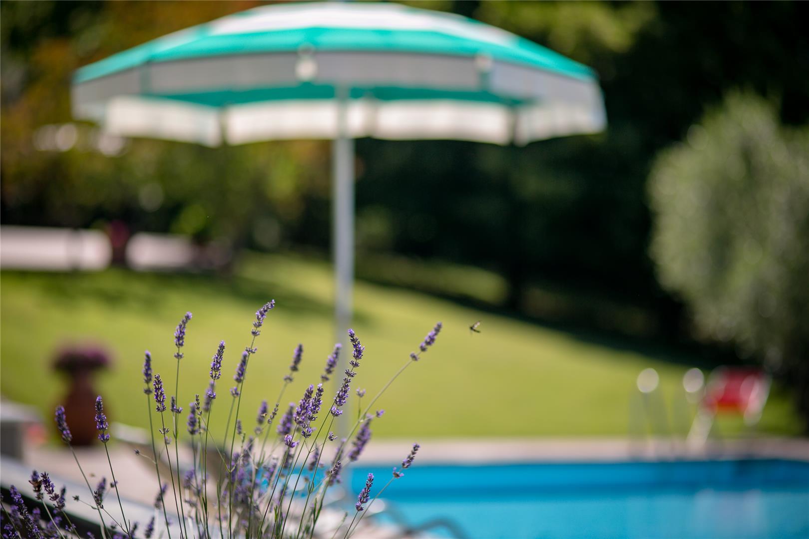 Il-Giardino-delle-Giare-02