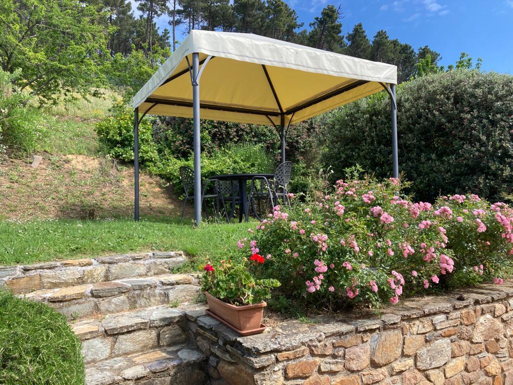 Rosellino (2 - 4 pers.)