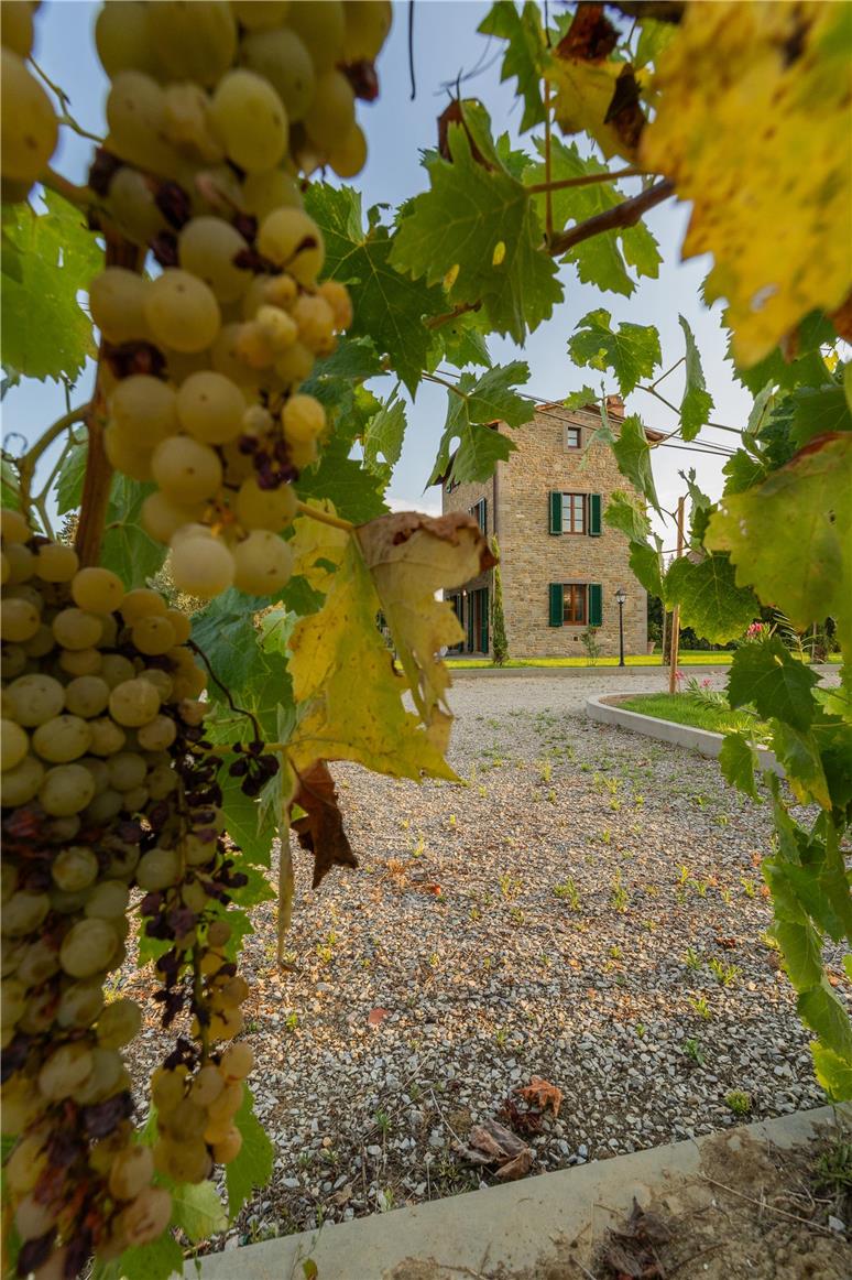 Villetta-San-Marco-15