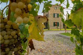 Villetta-San-Marco-15