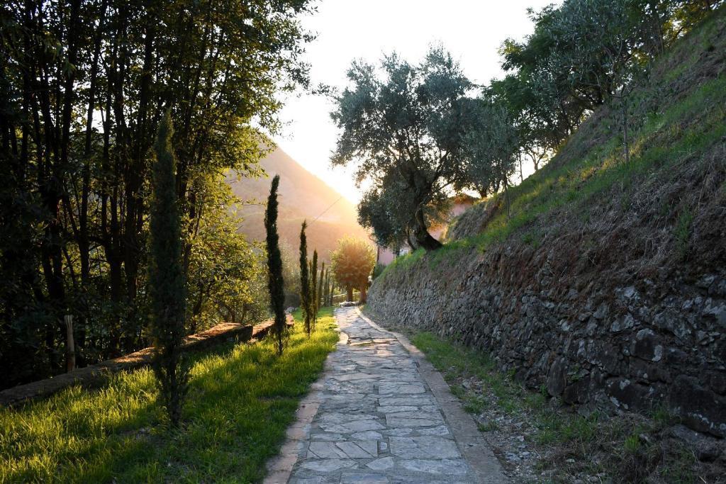Villa Mia Lucca 17