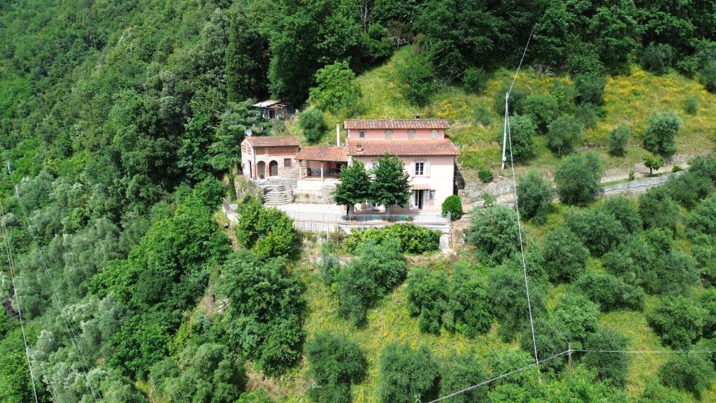 Villa Mia Lucca 18
