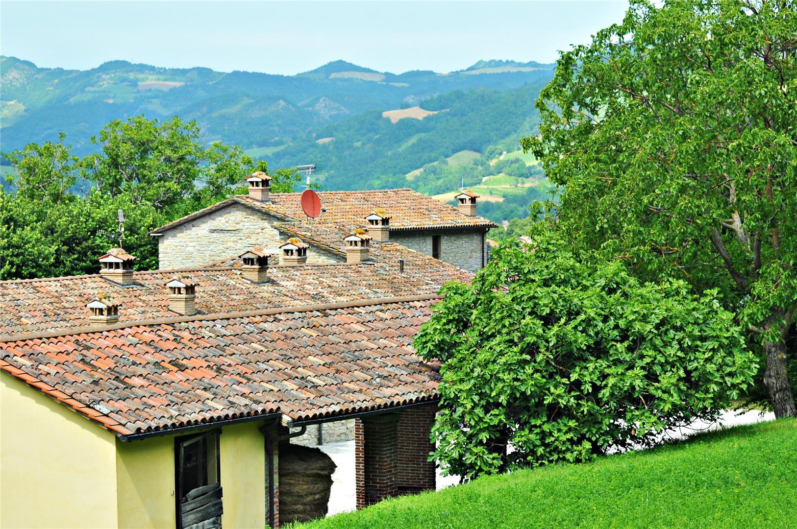 Popolano-di-sotto-16