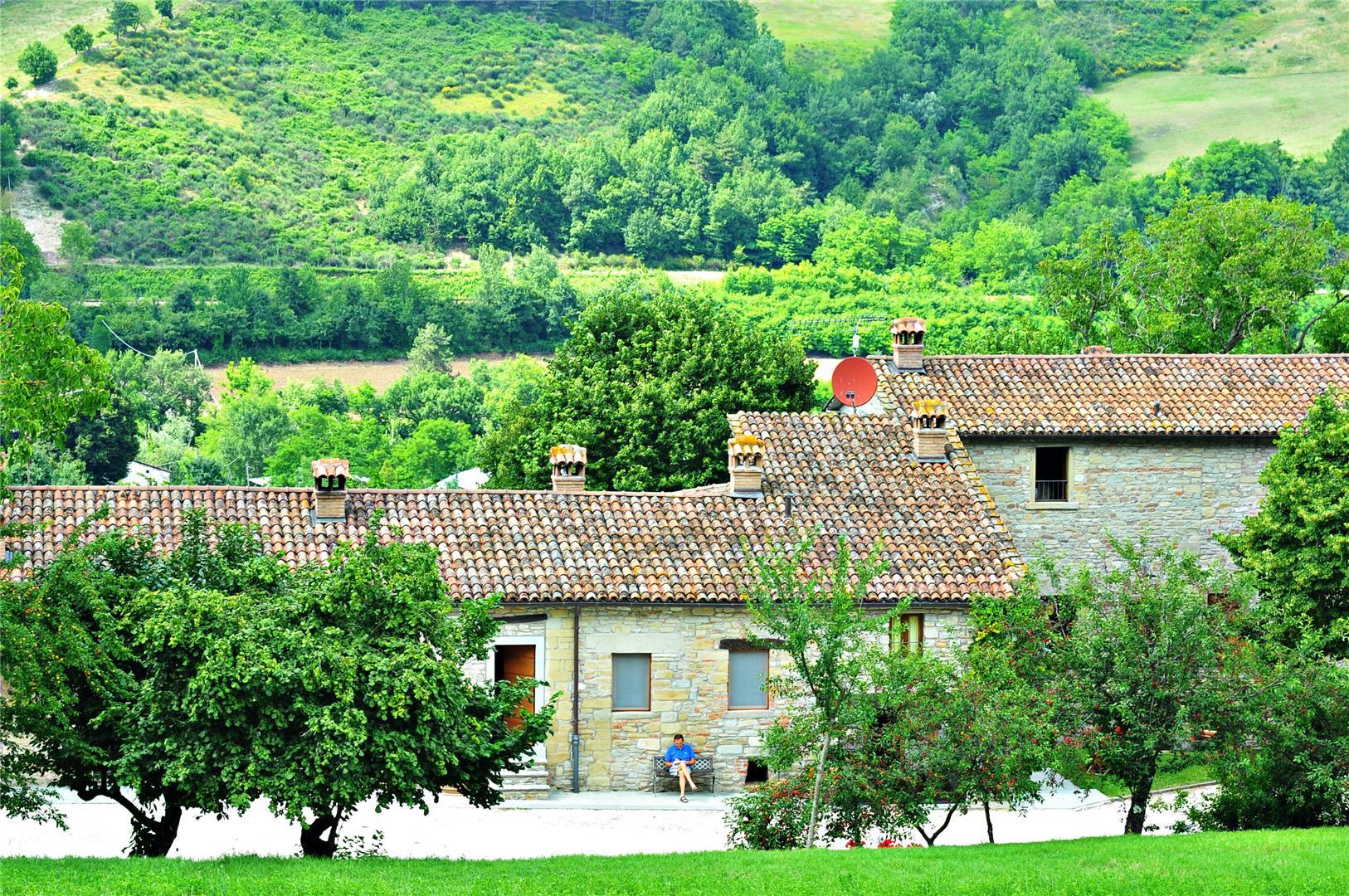 Popolano-di-sotto-17