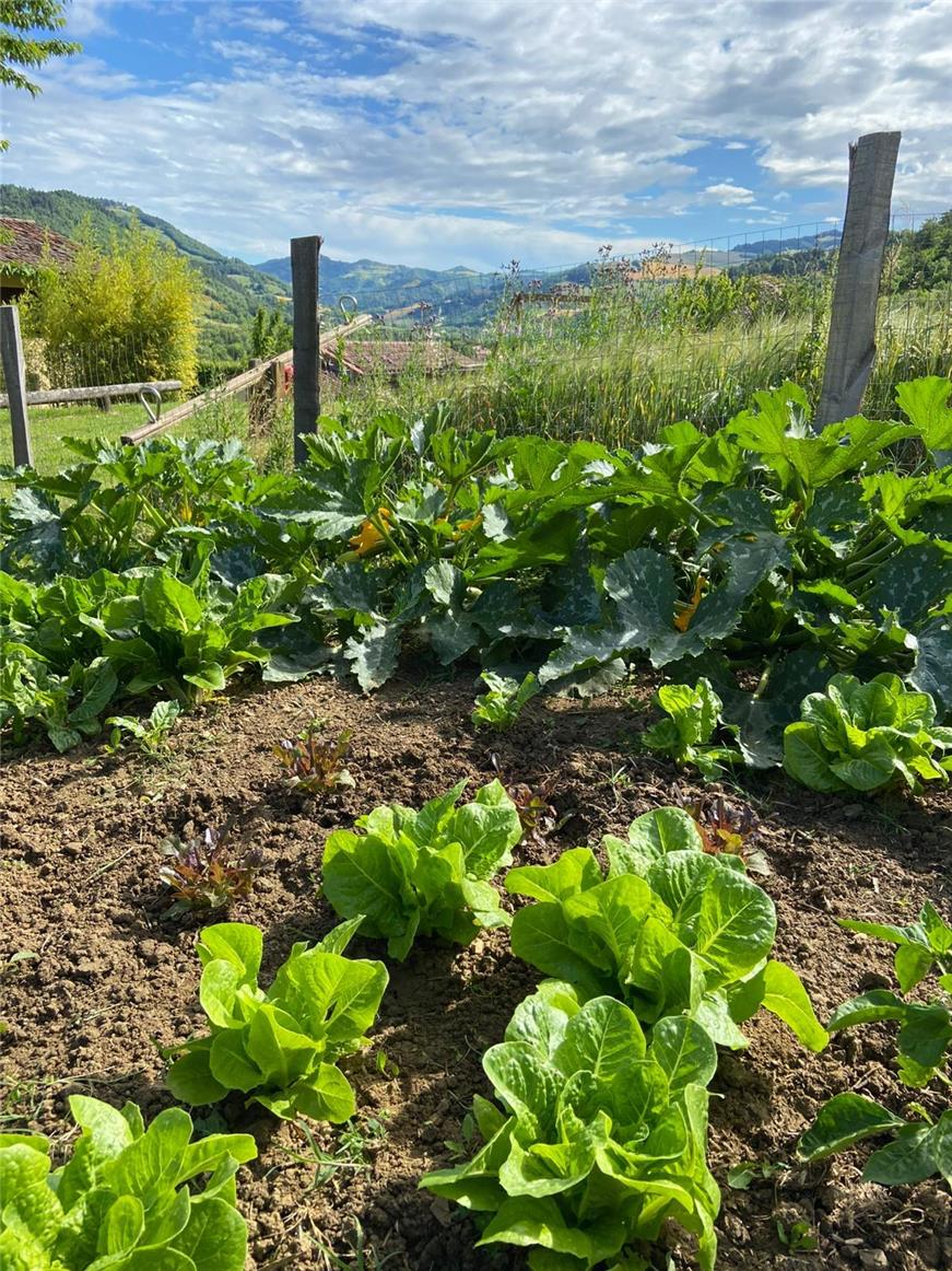 Popolano-di-sotto-41