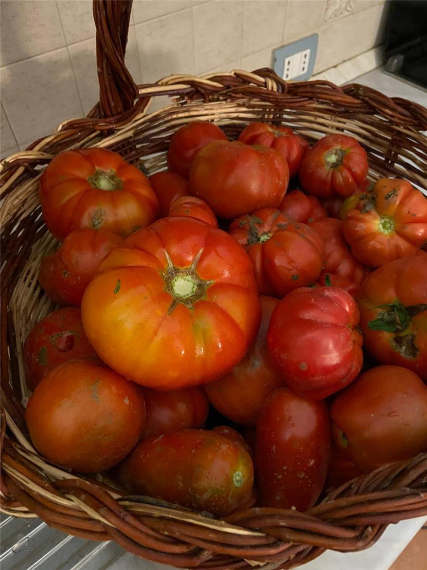 Popolano-di-sotto-42