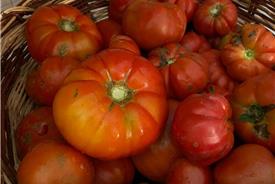 Popolano-di-sotto-42