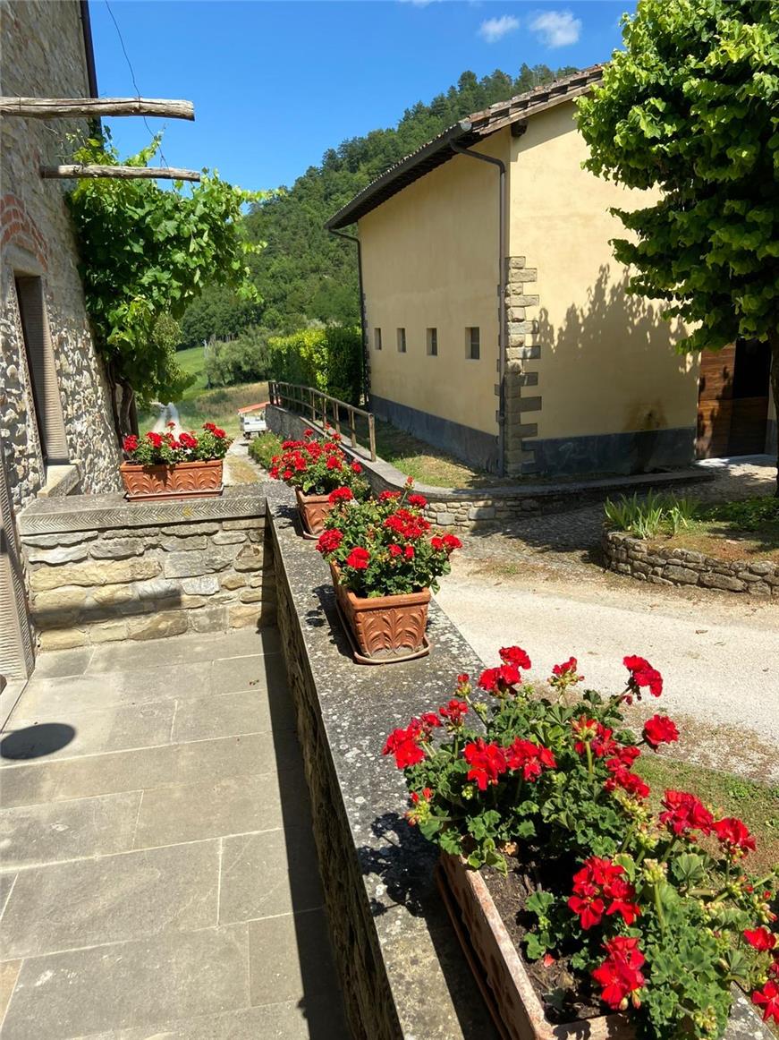 Popolano-di-sotto-44