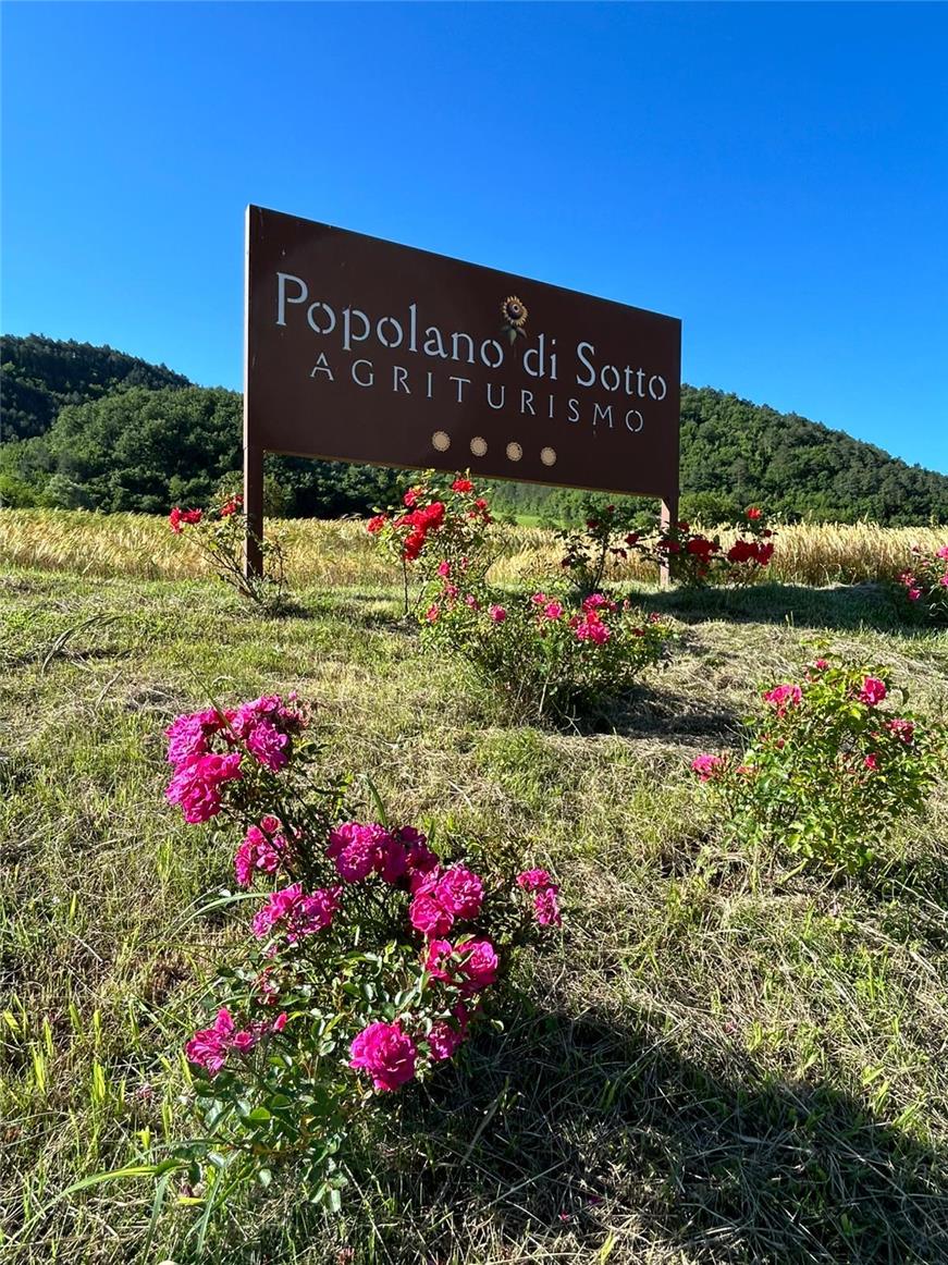 Popolano-di-sotto-45