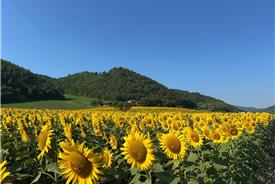 Popolano-di-sotto-53