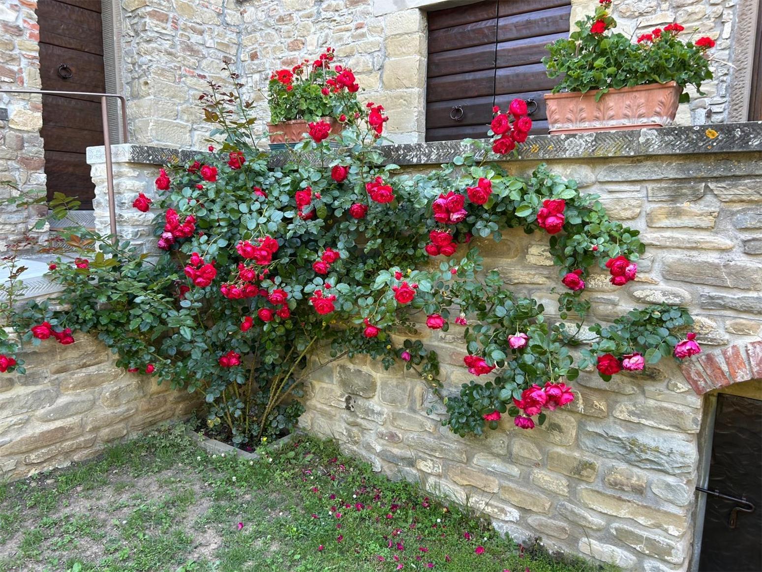 Popolano-di-sotto-54