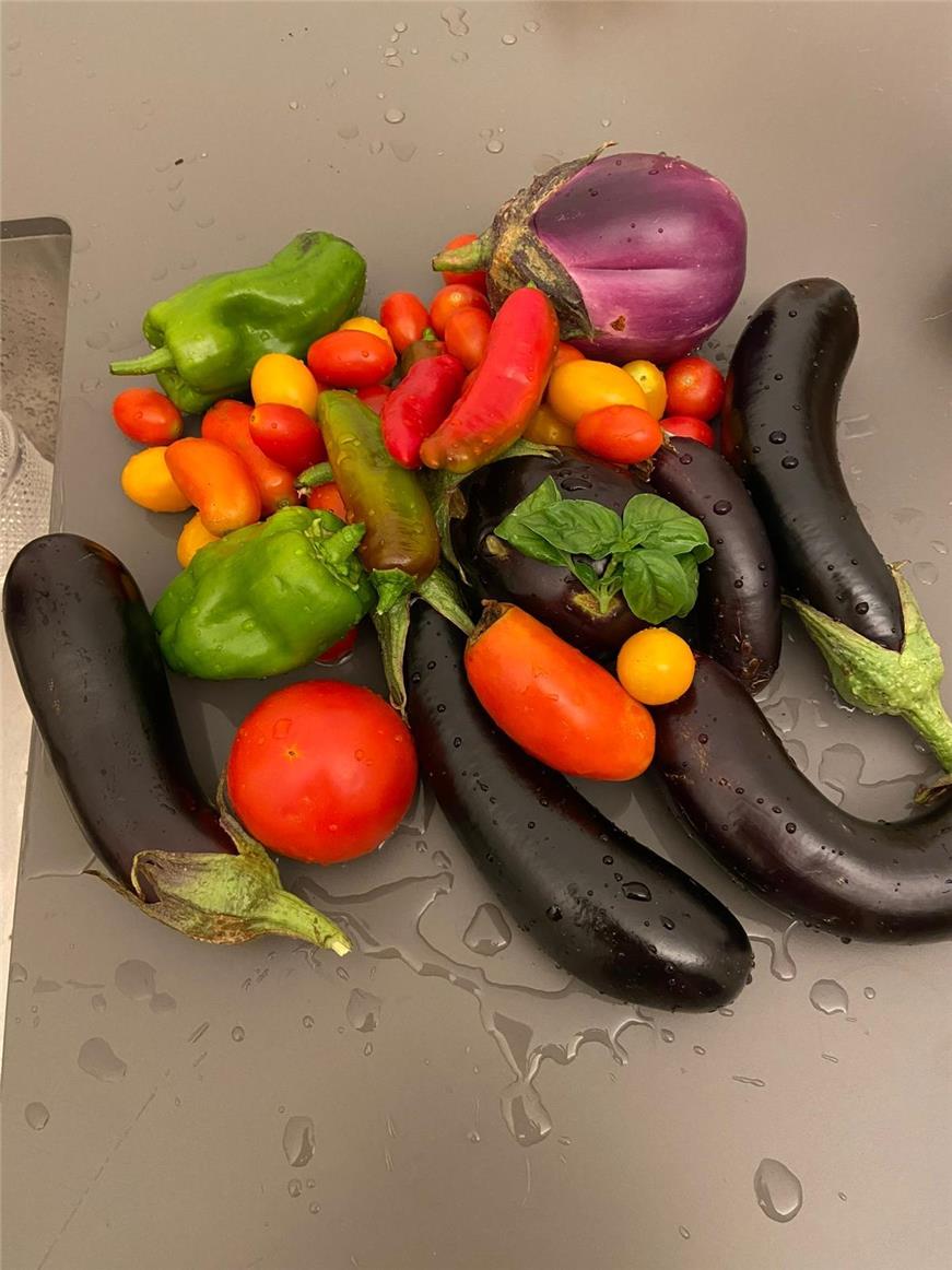 Popolano-di-sotto-55