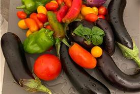 Popolano-di-sotto-55