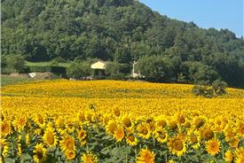 Popolano-di-sotto-57