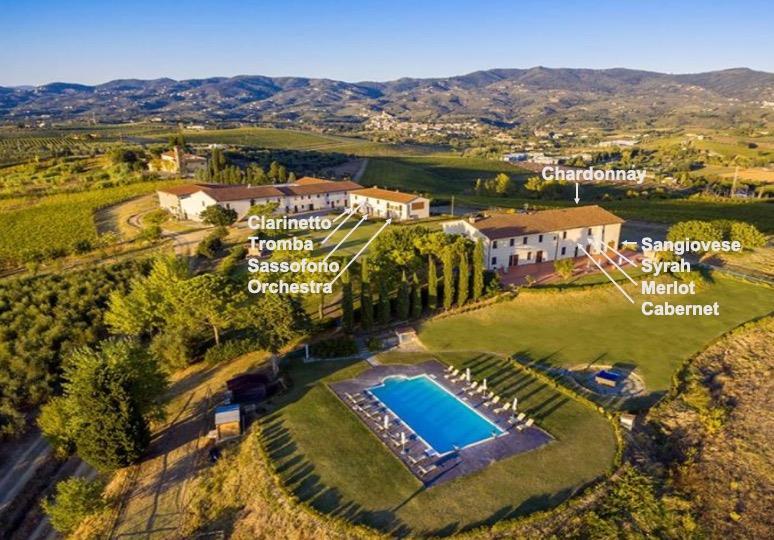 Streda Belvedere-2