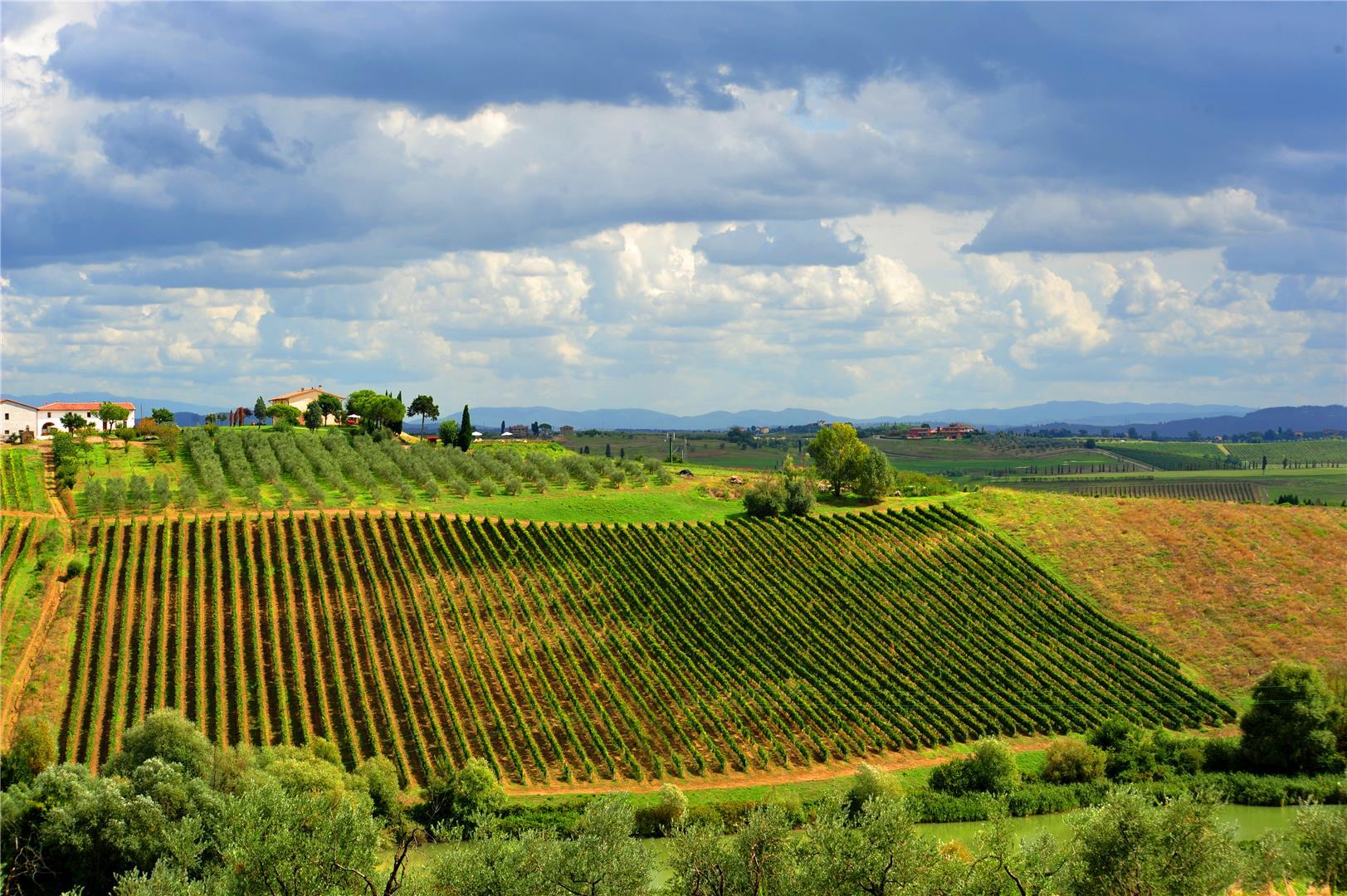 Streda Belvedere-64