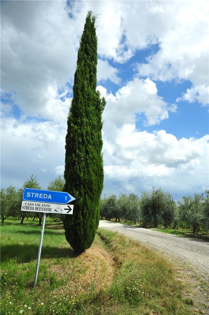 Streda Belvedere-68