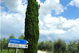 Streda Belvedere-68