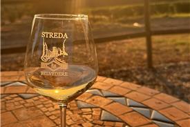 Streda Belvedere-77