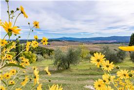 Podere_Bagnolo